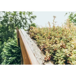 AboutGreen Dachbegrünung Roll und Go Dachneigung 1-5