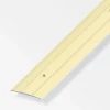 Alfer Übergangsschiene 37 x 2,5 mm 1m champagner