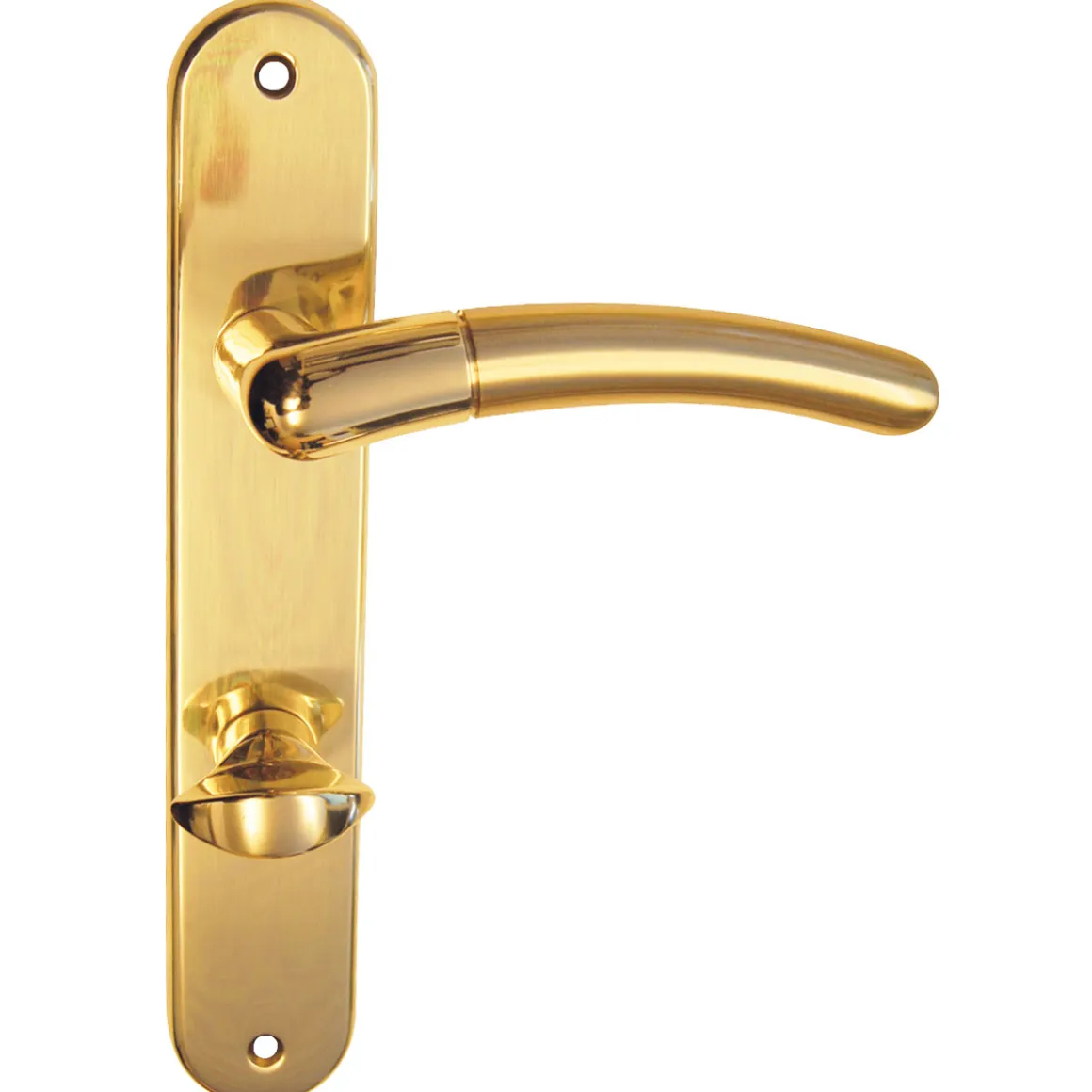 Alpertec Langschildgarnitur Beate-LS für WC poliert/satiniert