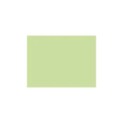 Alpina Farbenfreunde Papageiengrün 2,5l