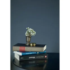 Alpina Feine Farben Himmlische Nachtmusik 2,5 L