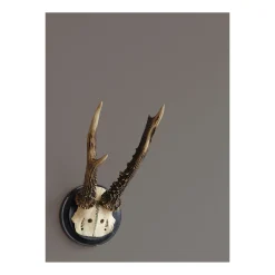 Alpina Feine Farben Stärke der Berge 2,5 L