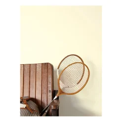 Alpina Feine Farben Zartes Leuchten 2,5 L