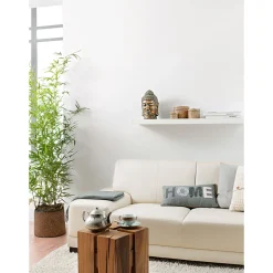 Alpina Naturaweiß 10 L