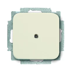 Busch-Jaeger Blindabdeckung Busch-Duro 2000 SI