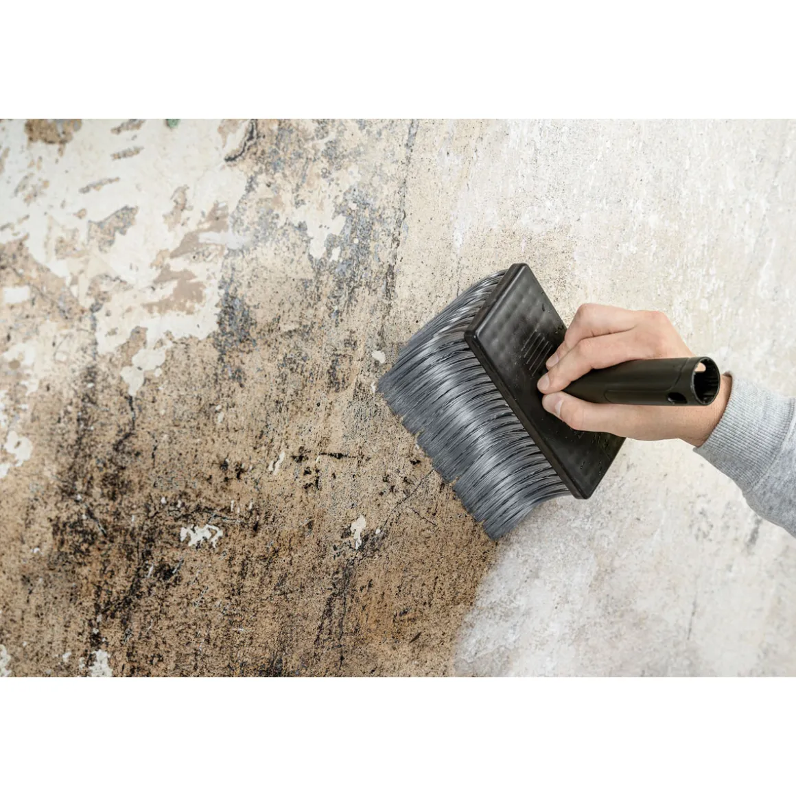 Color Expert Deckenbürste 175 x 75 mm Silverprenborste