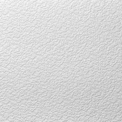 Deckenplatte AP 103 50x50 cm