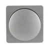 Dimmerabdeckung Le Mans silber Serie 603