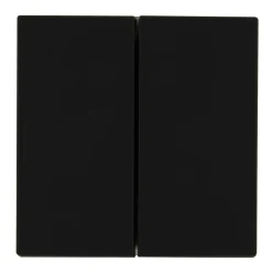 Doppel-/Wechselschalter Sao Paulo anthrazit Serie 902