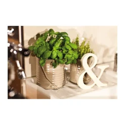 Edding  Spray 5200 cremeweiß seidenmatt