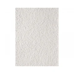 Erfurt Vlies Rauhfaser Rustic weiß