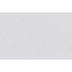 Erfurt  Vliesfaser Basic 100 weiß 1005 x 53 cm