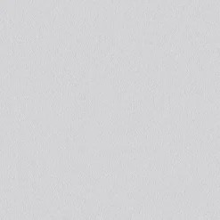 Erfurt  Vliesfaser Basic 102 weiß 1005 x 53 cm