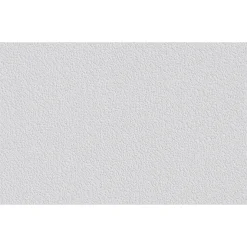 Erfurt  Vliesfaser Protect 204 weiß 1005 x 53 cm