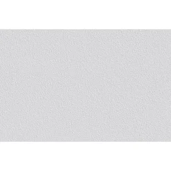 Erfurt  Vliesfaser Protect 206 weiß 1005 x 53 cm