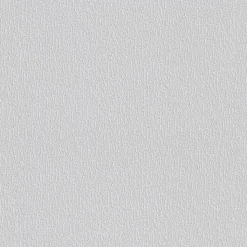 Erfurt  Vliesfaser Protect 202 weiß 1005 x 53 cm