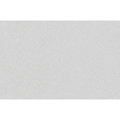 Erfurt  Vliesfaser Protect 209 weiß 1005 x 53 cm