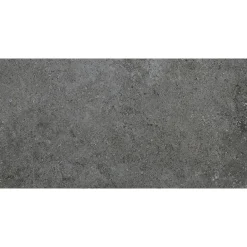 Feinsteinzeug Fancy dark matt 72.62465, 30x60x0,95cm