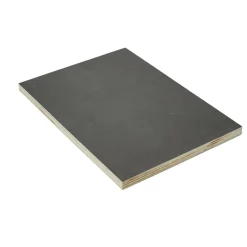 Fixmaßzuschnitt Sieb/Film 12 mm 1200 x 600 x 12mm