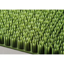 Fußmatte Allwetter 40 x 60 cm grün