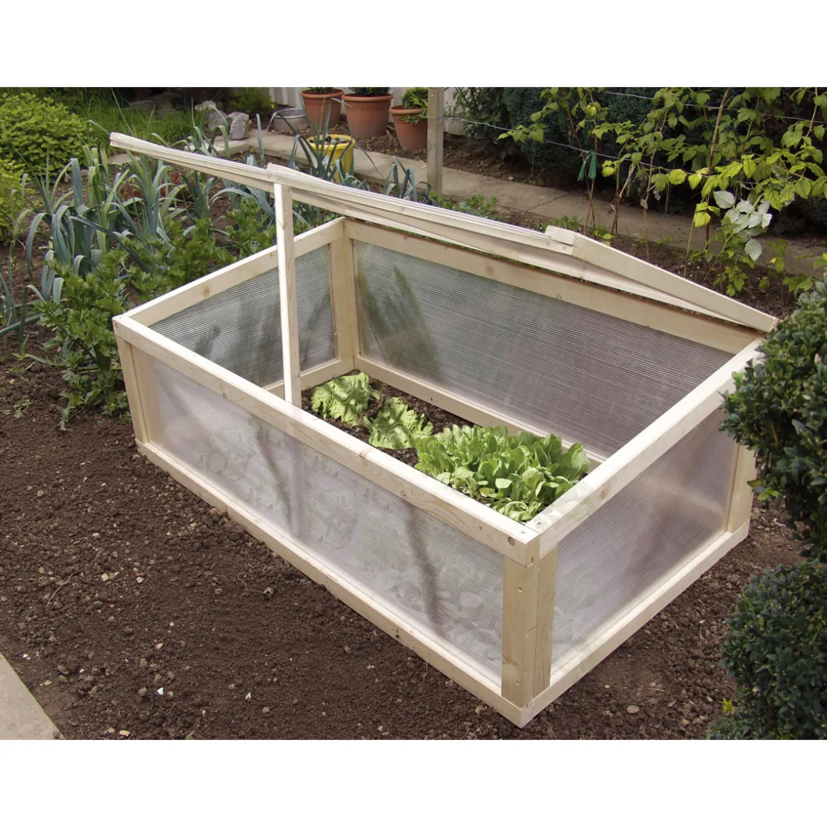 gutta Polycarbonat-Hohlkammerplatte transparent 250 x 98 x 1 cm