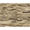 Indo Wandverkleidung Beachwood Heavea Natural 10er-Set