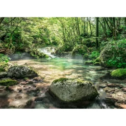 Komar  Papier Fototapete Riverbed 368x254 cm