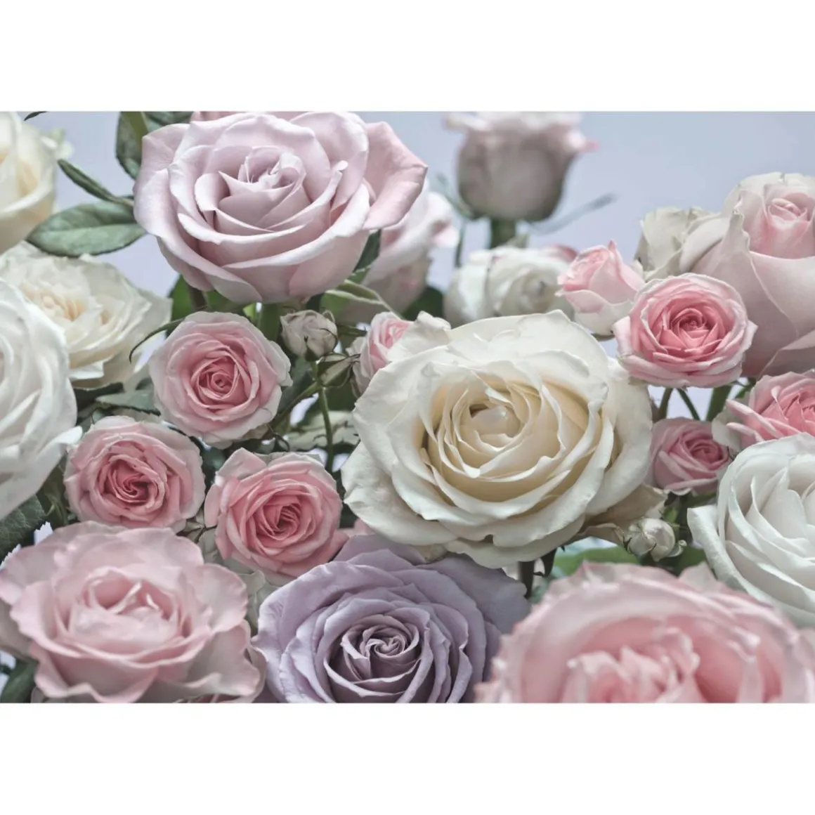 Komar Papier-Fototapete Floraison 8-teilig 368 x 254 cm