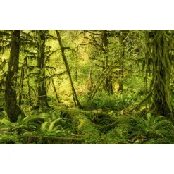 Komar  Vlies Fototapete Ancient World 400x250 cm