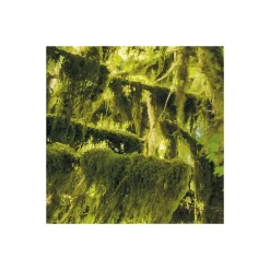 Komar  Vlies Fototapete Ancient World 400x250 cm