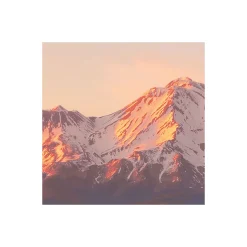 Komar  Vlies Fototapete Between the Light 450x280 cm