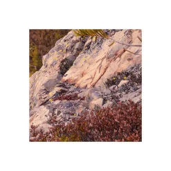 Komar  Vlies Fototapete Between the Light 450x280 cm