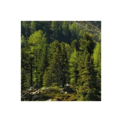 Komar  Vlies Fototapete Bergmagie 450x280 cm