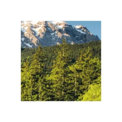 Komar  Vlies Fototapete Beautiful Germany 200x250 cm