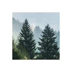 Komar  Vlies Fototapete Bergwiese vor Karwendel 450x280 cm