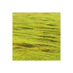 Komar  Vlies Fototapete Bergwiese vor Karwendel 450x280 cm