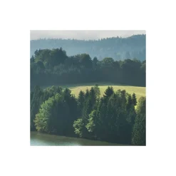 Komar  Vlies Fototapete Bergwiese vor Karwendel 450x280 cm