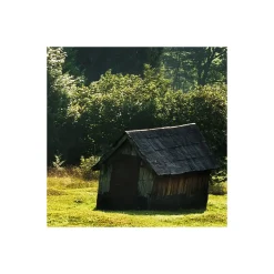 Komar  Vlies Fototapete Bergwiese vor Karwendel 450x280 cm