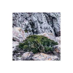 Komar  Vlies Fototapete Bizarre Coast 200x250 cm