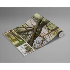 Komar  Vlies Fototapete Blütenzauberwald 450x280 cm