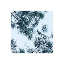 Komar  Vlies Fototapete Blue Waters 400x250 cm