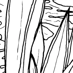 Komar  Vlies Fototapete Blanca 400x280 cm