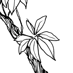 Komar  Vlies Fototapete Blanca 400x280 cm