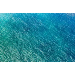 Komar  Vlies Fototapete Blaupause 400x250 cm