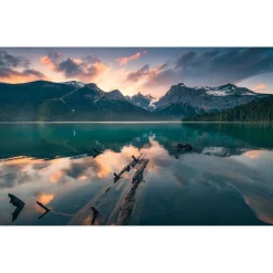 Komar  Vlies Fototapete Burning Emerald 450x280 cm