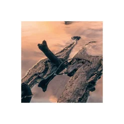 Komar  Vlies Fototapete Burning Emerald 450x280 cm