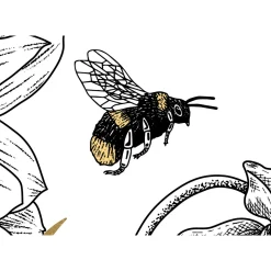 Komar  Vlies Fototapete Bumble Bee 400x280 cm