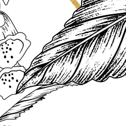 Komar  Vlies Fototapete Bumble Bee 400x280 cm