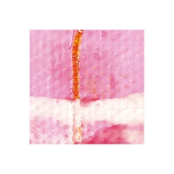 Komar  Vlies Fototapete Cells Wrapping 500x280 cm