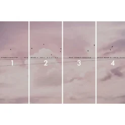 Komar  Vlies Fototapete Cloud Wire 400x250 cm